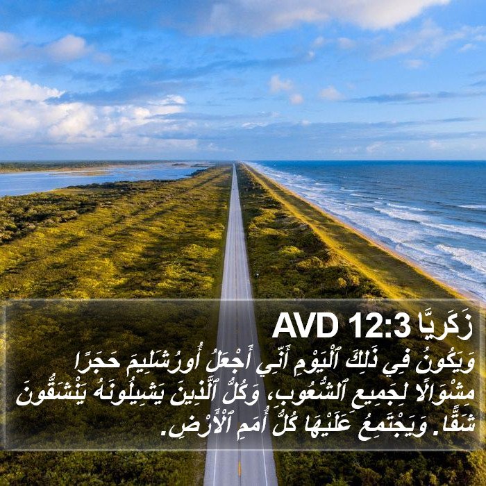 زَكَريَّا 12:3 AVD Bible Study