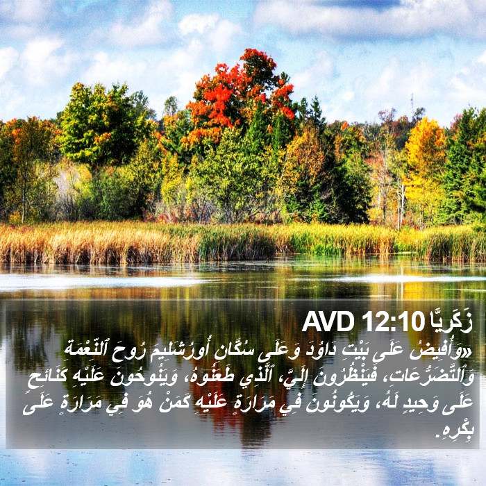 زَكَريَّا 12:10 AVD Bible Study