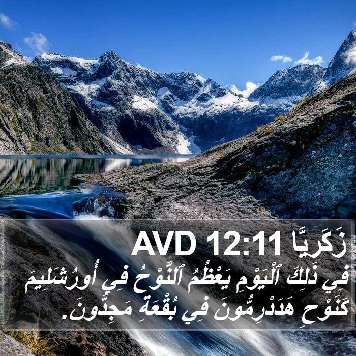 زَكَريَّا 12:11 AVD Bible Study