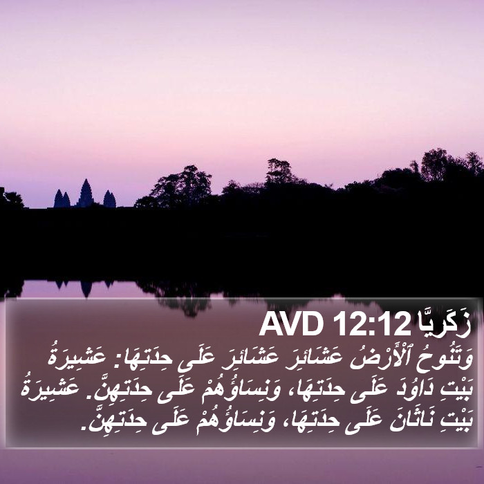 زَكَريَّا 12:12 AVD Bible Study