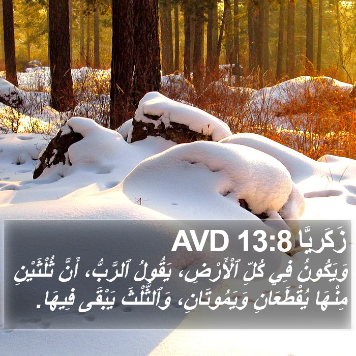 زَكَريَّا 13:8 AVD Bible Study
