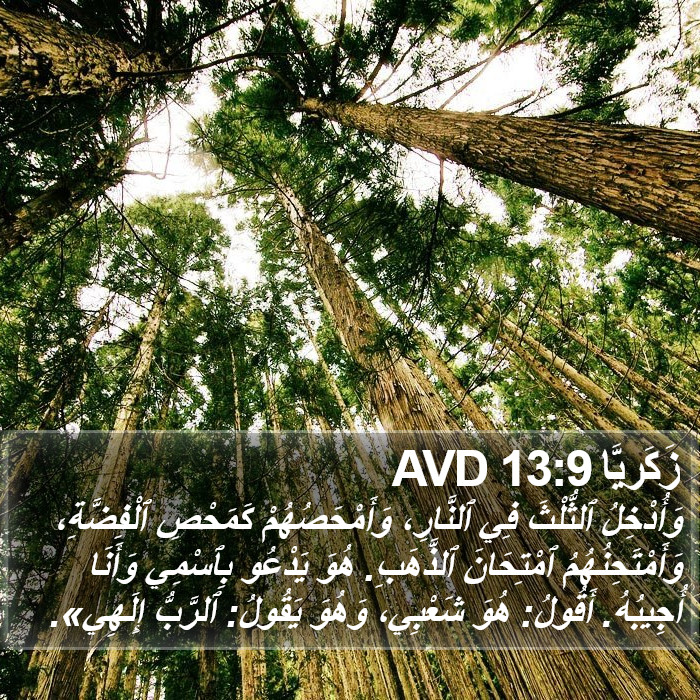 زَكَريَّا 13:9 AVD Bible Study