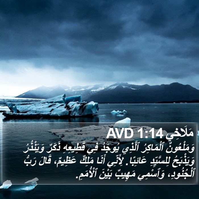 مَلَاخِي 1:14 AVD Bible Study