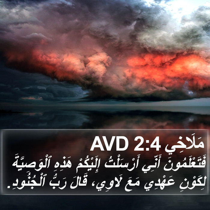 مَلَاخِي 2:4 AVD Bible Study