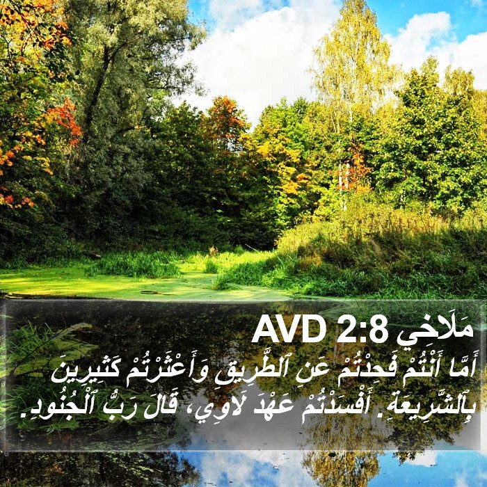 مَلَاخِي 2:8 AVD Bible Study