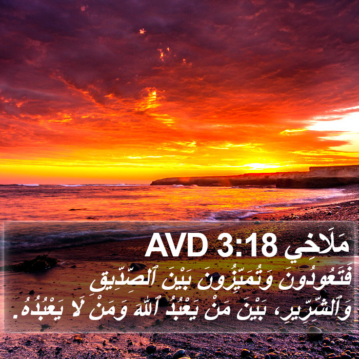 مَلَاخِي 3:18 AVD Bible Study
