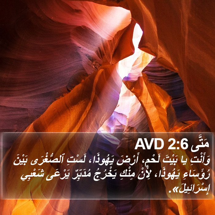 مَتَّى 2:6 AVD Bible Study