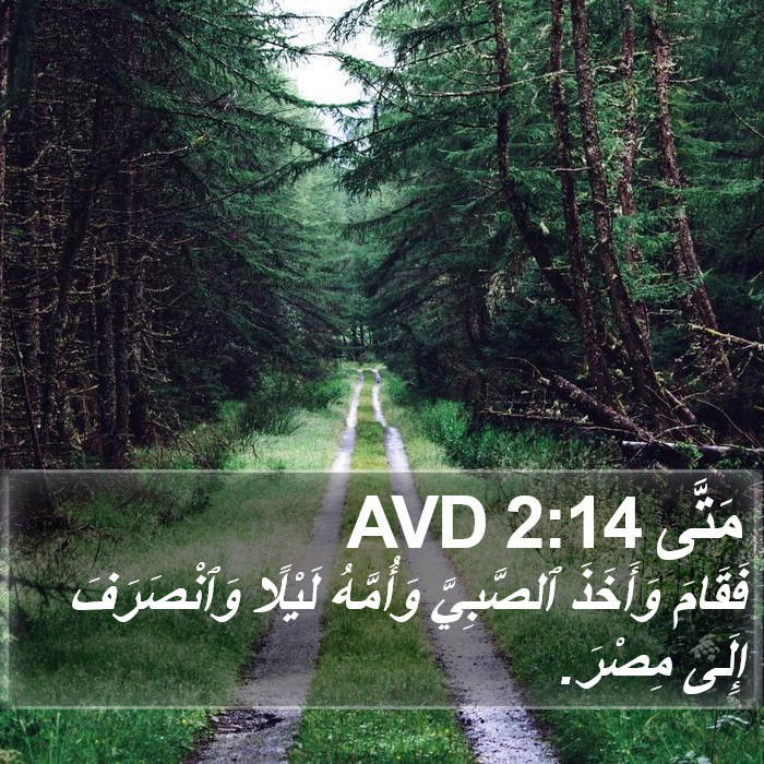 مَتَّى 2:14 AVD Bible Study