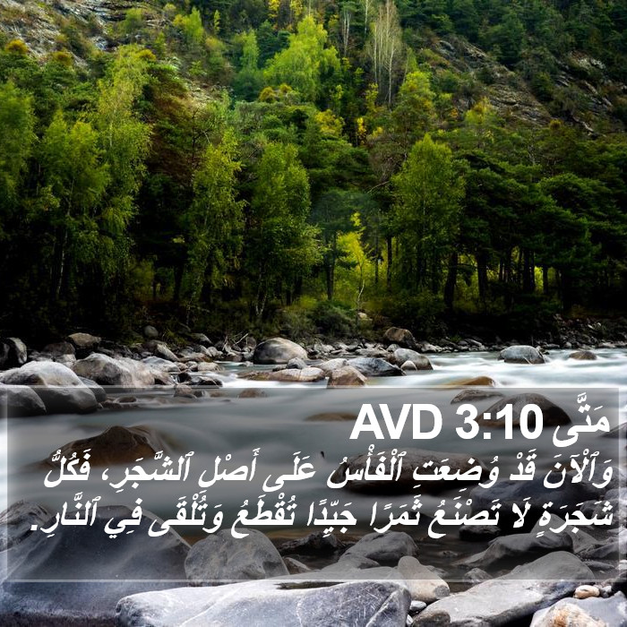مَتَّى 3:10 AVD Bible Study