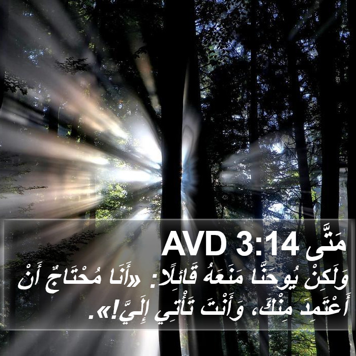 مَتَّى 3:14 AVD Bible Study