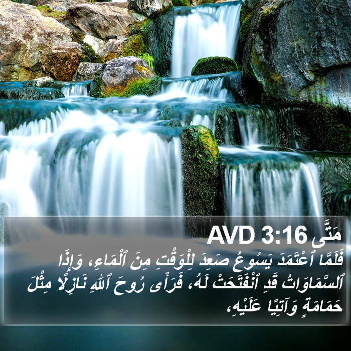 مَتَّى 3:16 AVD Bible Study