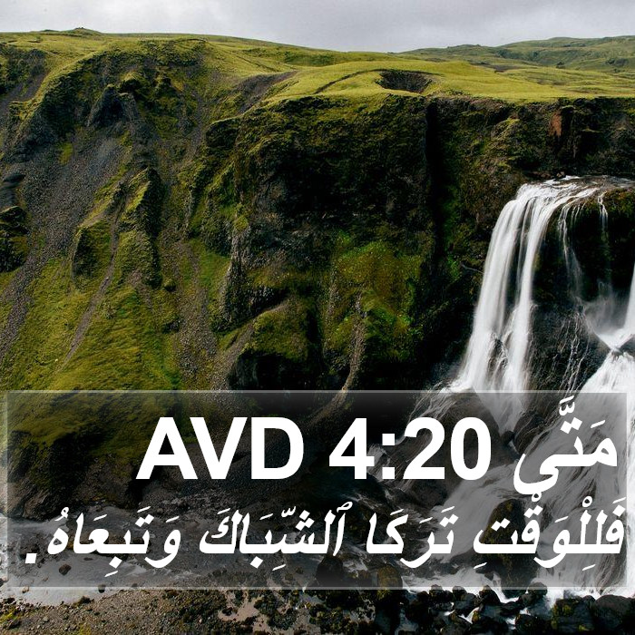 مَتَّى 4:20 AVD Bible Study