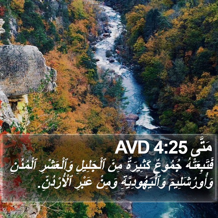 مَتَّى 4:25 AVD Bible Study