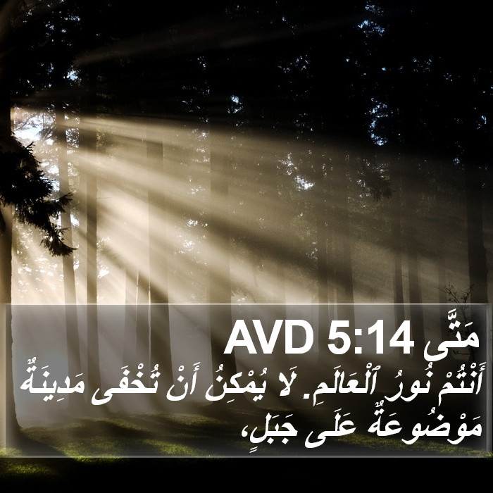 مَتَّى 5:14 AVD Bible Study