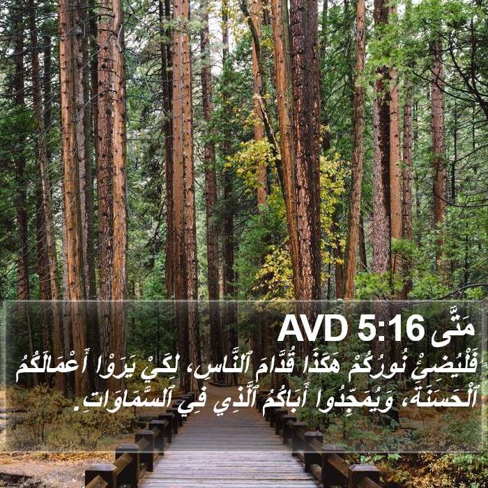مَتَّى 5:16 AVD Bible Study