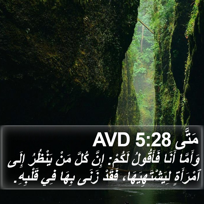 مَتَّى 5:28 AVD Bible Study