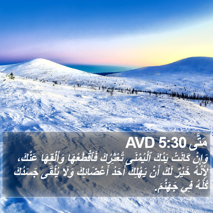 مَتَّى 5:30 AVD Bible Study