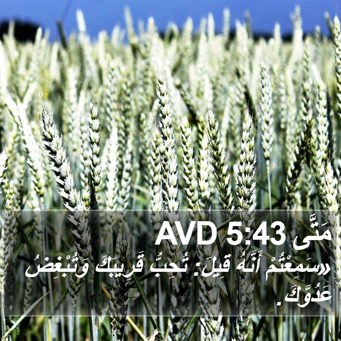 مَتَّى 5:43 AVD Bible Study