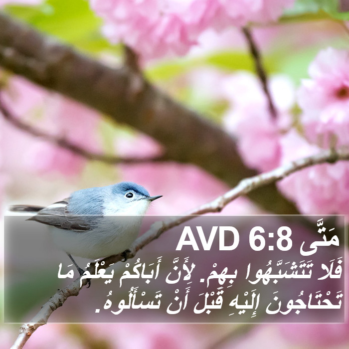 مَتَّى 6:8 AVD Bible Study