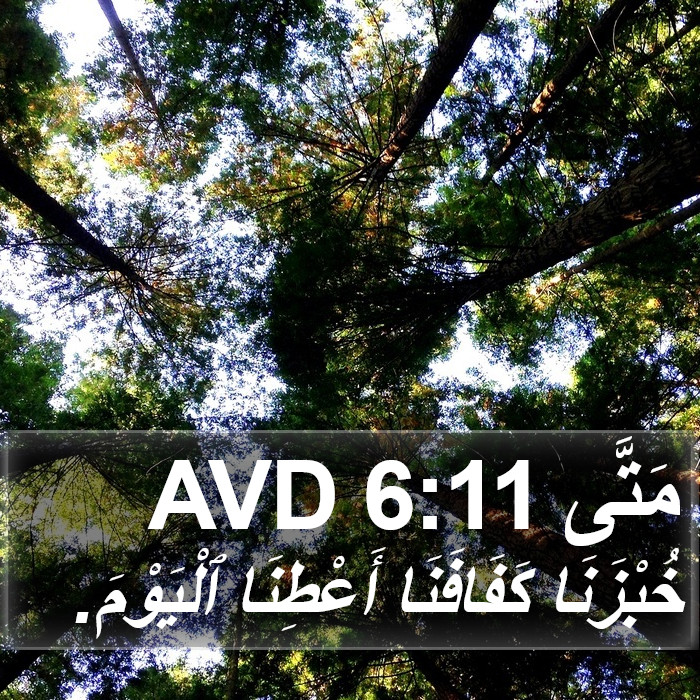 مَتَّى 6:11 AVD Bible Study