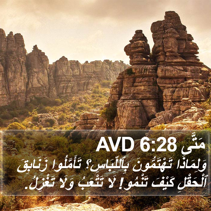 مَتَّى 6:28 AVD Bible Study