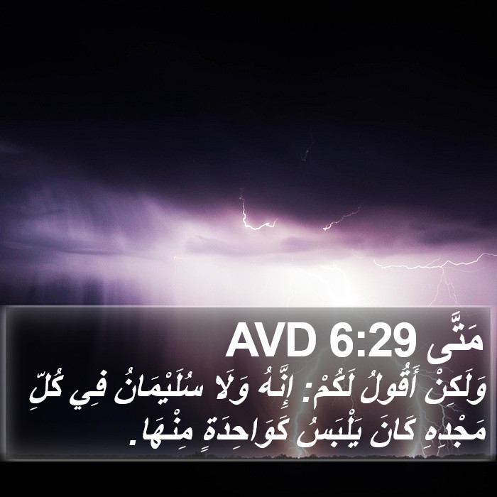 مَتَّى 6:29 AVD Bible Study