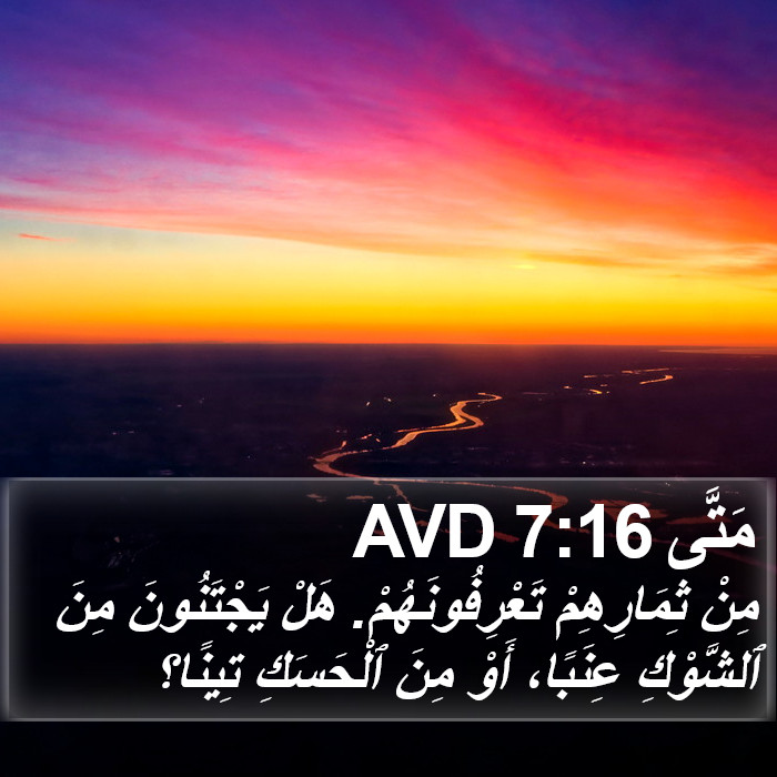 مَتَّى 7:16 AVD Bible Study