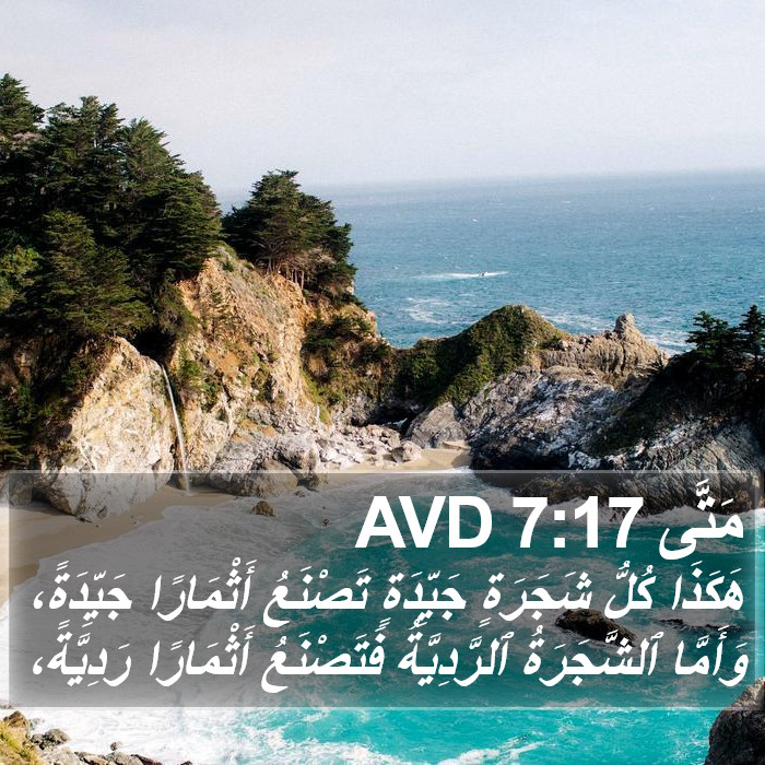 مَتَّى 7:17 AVD Bible Study