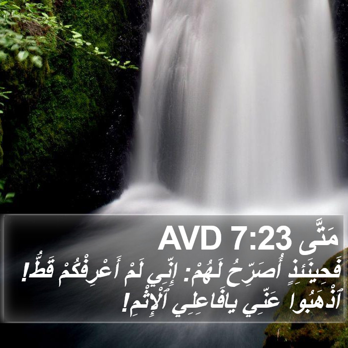 مَتَّى 7:23 AVD Bible Study