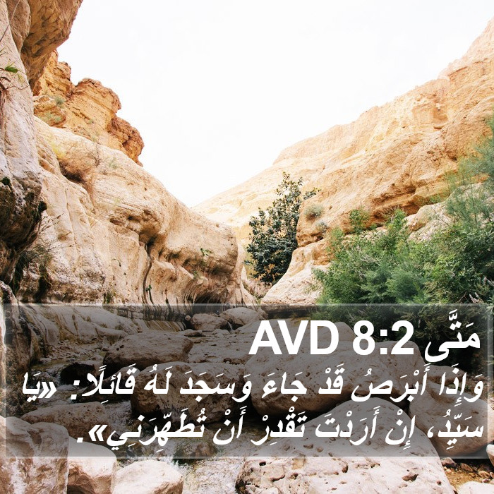 مَتَّى 8:2 AVD Bible Study