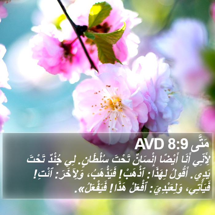 مَتَّى 8:9 AVD Bible Study