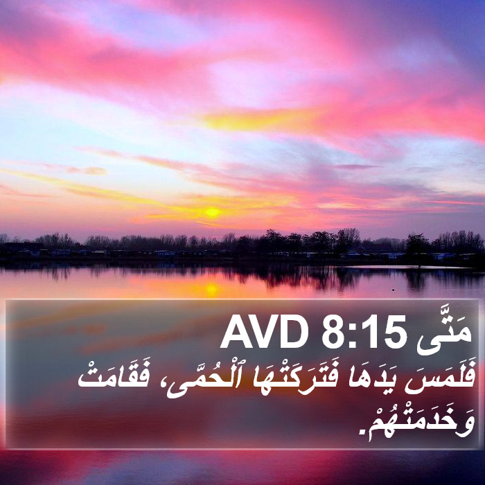 مَتَّى 8:15 AVD Bible Study