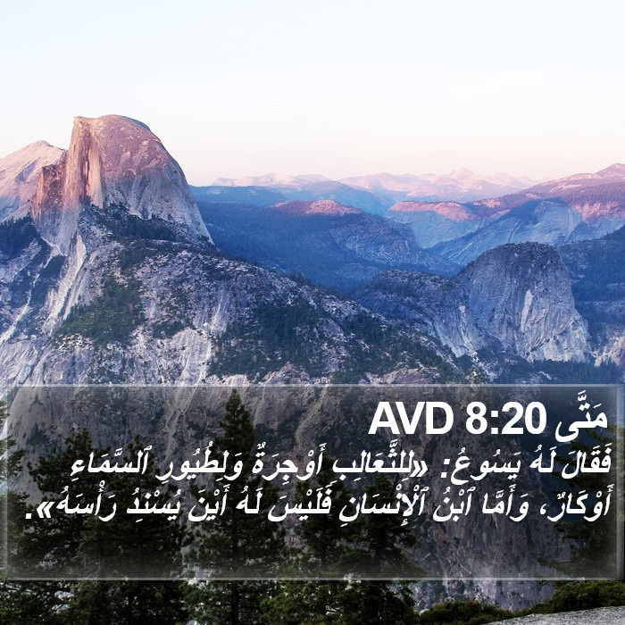 مَتَّى 8:20 AVD Bible Study