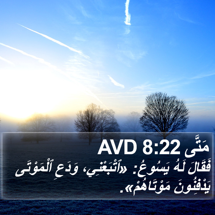 مَتَّى 8:22 AVD Bible Study