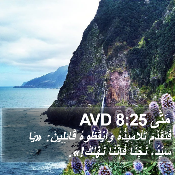 مَتَّى 8:25 AVD Bible Study