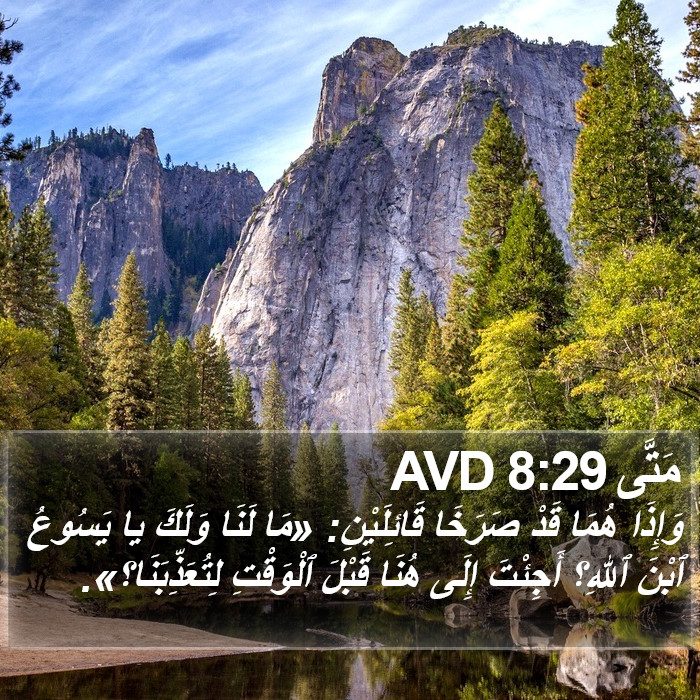 مَتَّى 8:29 AVD Bible Study