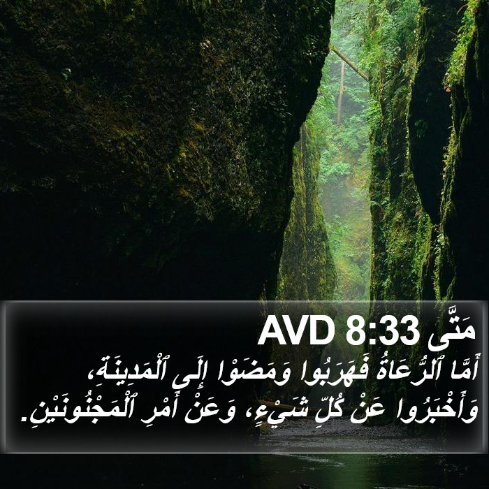 مَتَّى 8:33 AVD Bible Study