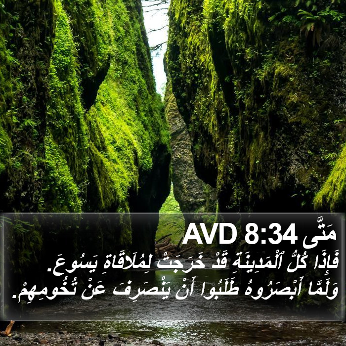 مَتَّى 8:34 AVD Bible Study