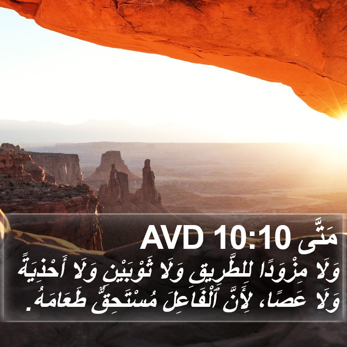 مَتَّى 10:10 AVD Bible Study