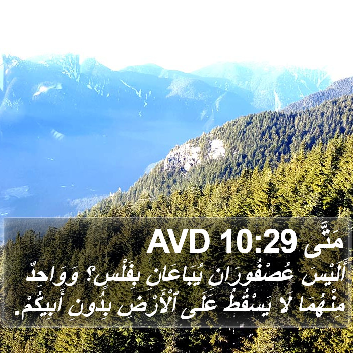 مَتَّى 10:29 AVD Bible Study