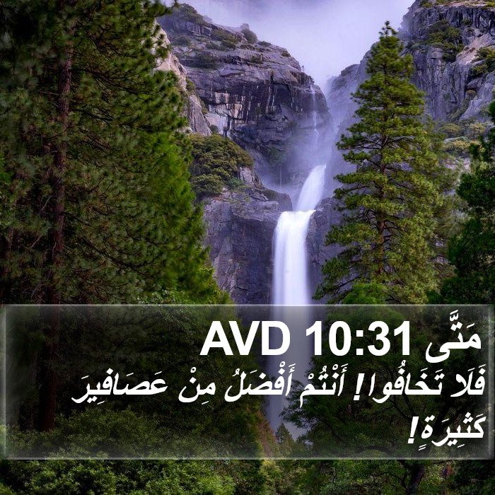 مَتَّى 10:31 AVD Bible Study