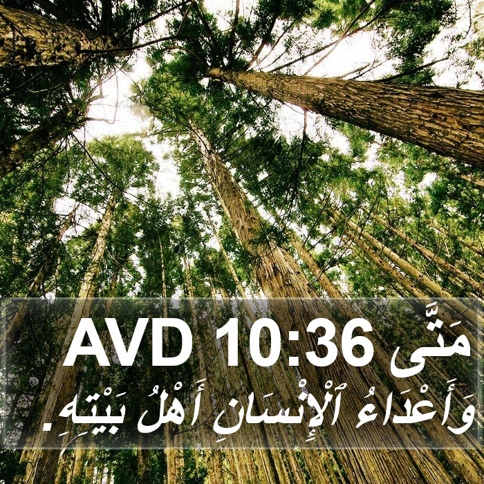 مَتَّى 10:36 AVD Bible Study