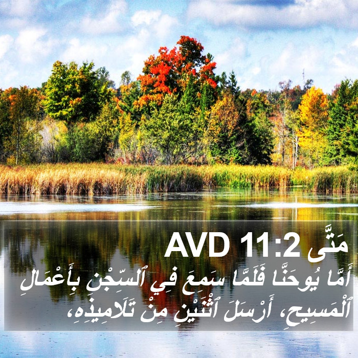 مَتَّى 11:2 AVD Bible Study