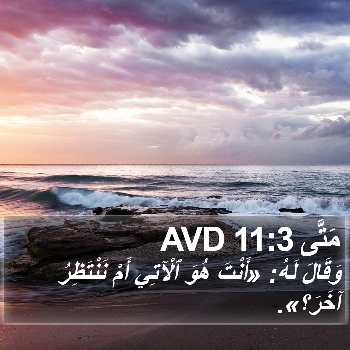 مَتَّى 11:3 AVD Bible Study