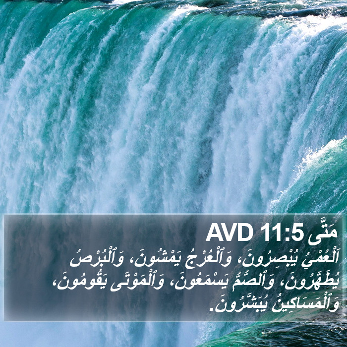 مَتَّى 11:5 AVD Bible Study