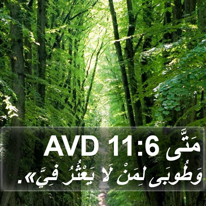 مَتَّى 11:6 AVD Bible Study