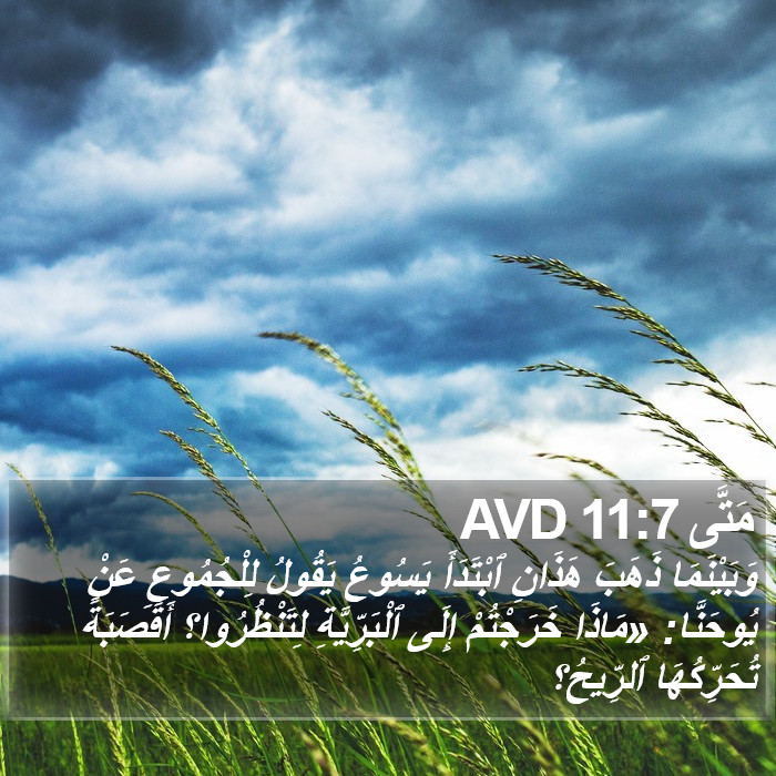 مَتَّى 11:7 AVD Bible Study