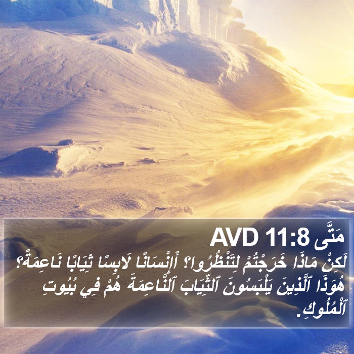 مَتَّى 11:8 AVD Bible Study