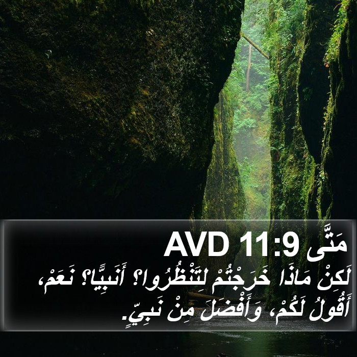 مَتَّى 11:9 AVD Bible Study