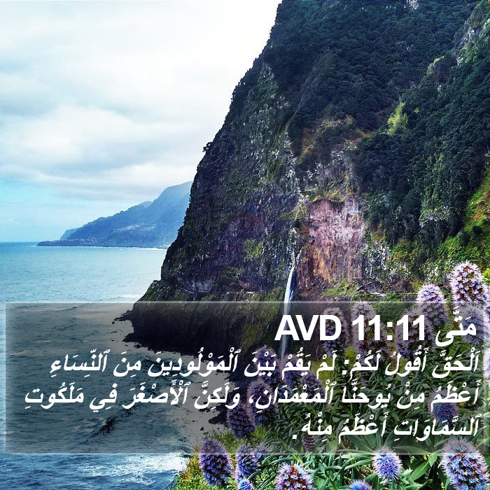 مَتَّى 11:11 AVD Bible Study